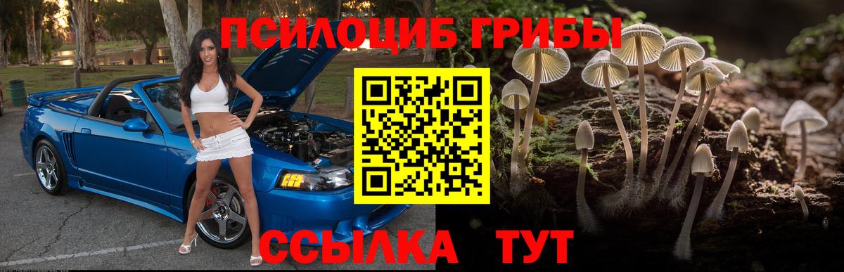 Саров  Псилоцибиновые грибы GOLDEN TEACHER  Вход с VPN  Галлюциногенные грибы MAGIC MUSHROOMS 